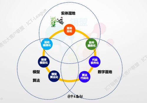 企業(yè)的數(shù)字化轉(zhuǎn)型 數(shù)據(jù)、算法、互聯(lián)網(wǎng)服務(wù)與工業(yè)互聯(lián)網(wǎng)數(shù)據(jù)服務(wù)的核心探討