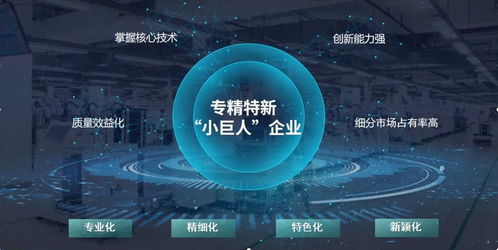 玄羽科技榮膺國家級“專精特新”小巨人企業，引領工業互聯網數據服務新篇章